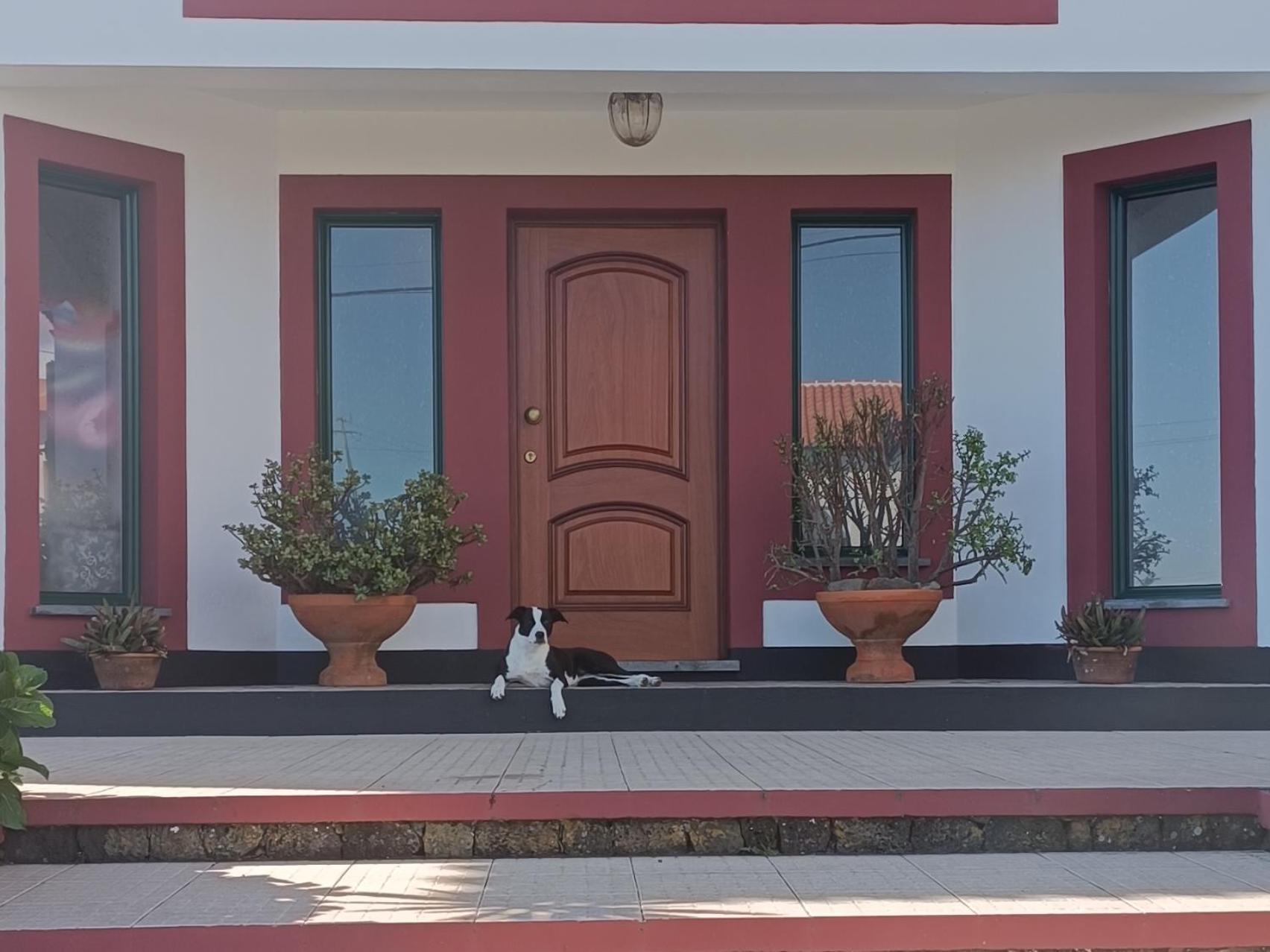 Moradia Da Graca Guesthouse 普拉亚达维多利亚 外观 照片